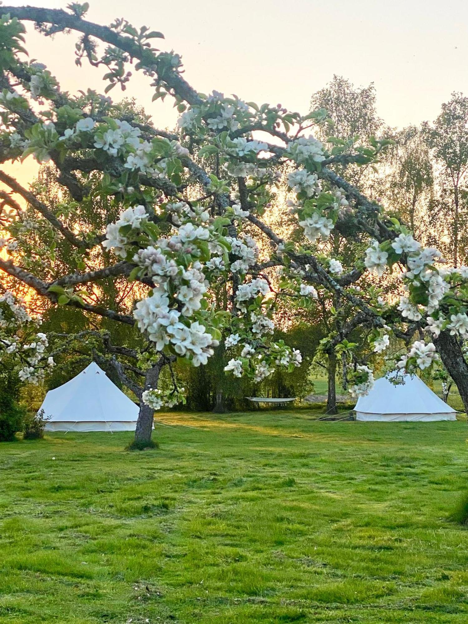Soerby Glamping 호텔 Klockrike 외부 사진